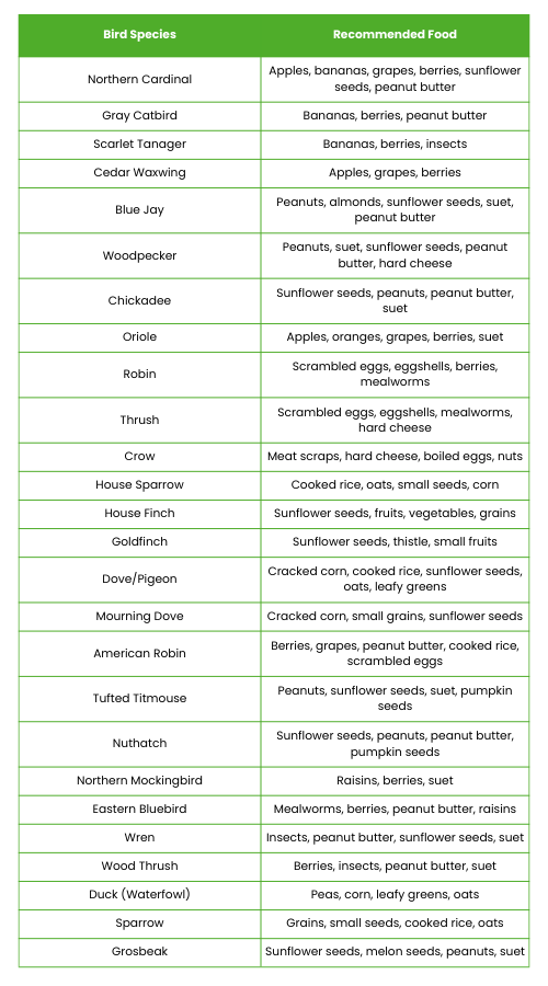 Bird Species by Food